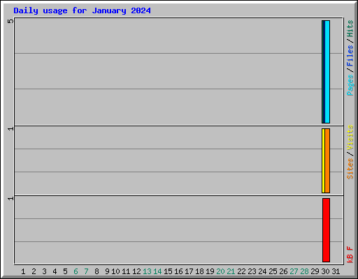 Daily usage for January 2024