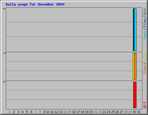 Daily usage for December 2024