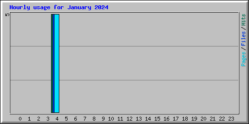Hourly usage for January 2024