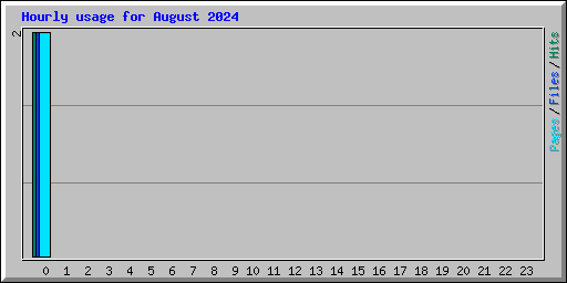 Hourly usage for August 2024