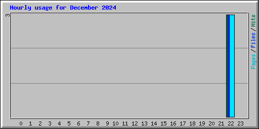 Hourly usage for December 2024