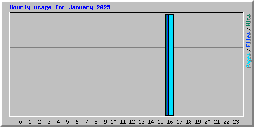 Hourly usage for January 2025