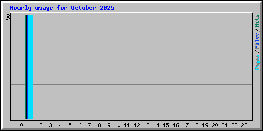 Hourly usage for October 2025