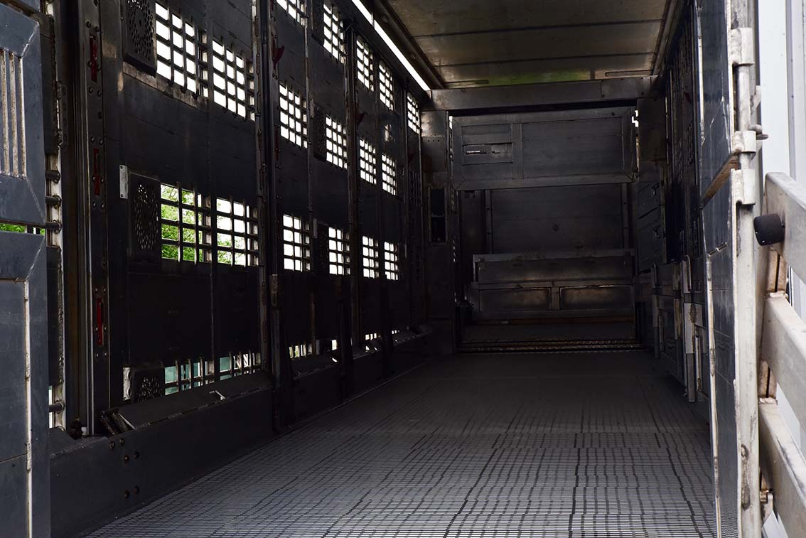 Der Innenraum eines Tiertransporters mit Lüftungsschlitzen